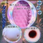 ワイルドバナナならではの遊び心あふれる一品オナホ：夕暮れ彼女